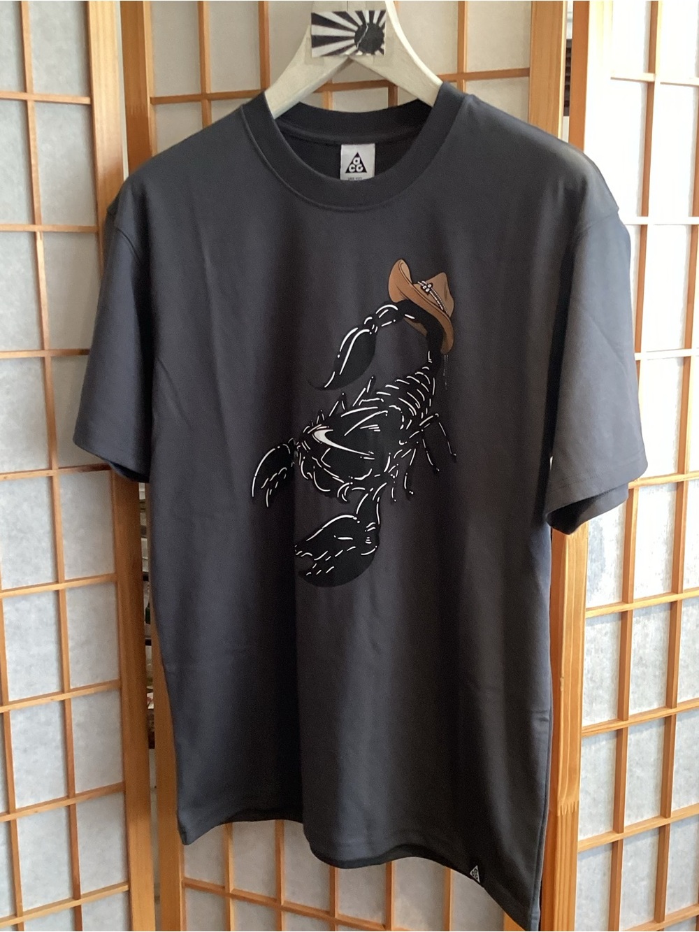 Nike ACG Scorpion T-Shirt Anthracite HV1290-060 Men's Size Small